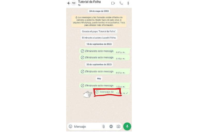 WhatsApp lança mensagem por vídeo similar a áudio; veja como usar -  27/07/2023 - Tec - Folha