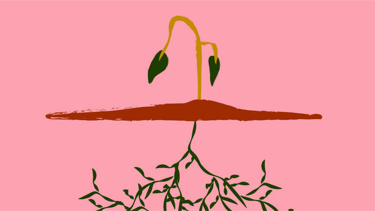 No centro da ilustração de fundo rosa está uma planta desidratada sobre um punhado de terra e abaixo da terra suas raízes aparecem expostas.