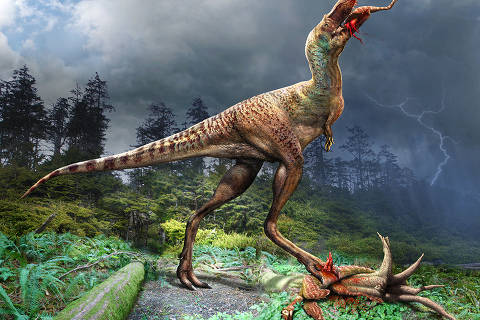This image released by the Royal Tyrrell Museum of Palaeontology on December 8, 2023, shows Julius Csotonyi's artistic representation of a Gorgosaurus, a species of tyrannosaur, feeding on Cipites. Prey has been discovered inside the stomach of a Tyrannosaurus skeleton for the first time, scientists said on December 8, 2023, revealing that the mighty dinosaurs had an 
