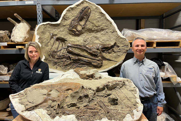 A paleontóloga Darla Zelenitsky, da Universidade de Calgary, e o curador de paleoecologia de dinossauros François Therrien, do Museu Royal Tyrrell