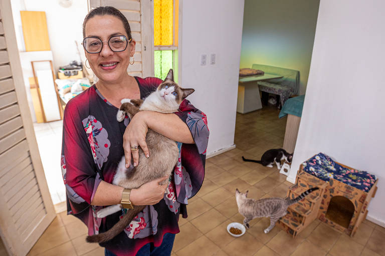 A advogada Sandra de Cássia Catão, 50, e o músico Walfrido José Barbosa Chaves, 55, possuem 36 gatos e um cachorro, mas estão dedicando seu amor a dezenas de outros gatos abandonados em Maceió
