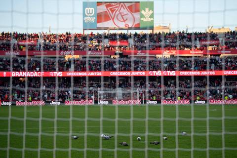 Pigeons walk on the pitch as the match is being suspended due to a medical issue in the tribunes, during the Spanish league football match between Granada FC and Athletic Club Bilbao at Los Carmenes stadium in Granada on December 10, 2023. (Photo by JORGE GUERRERO / AFP) ORG XMIT: JGO