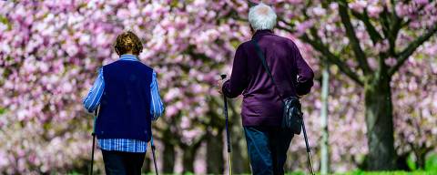An elderly couple walk under flowering cherry trees at the so-called Cherry blossom alley, in Teltow, just outside Berlin on May 4, 2023. - Cherry blossom alley, a 1,5 km long stretch of the former Berlin wall (1961-1989) planted with over 1.000 cherry trees, came into existence after a Japanese TV channel initiated a fund-raising campaign in 1990 which yielded around one million euros, and used the cash to plant thousands of trees in Berlin. (Photo by John MACDOUGALL / AFP)
