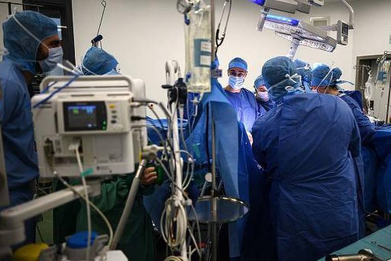 Número de transplantes em SP aumenta 7% em 1 ano e é o maior desde 2018
