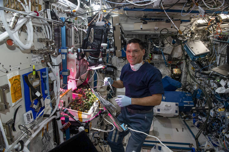 Tripulação encontra tomate na ISS, inocentando astronauta da Nasa acusado de comê-lo