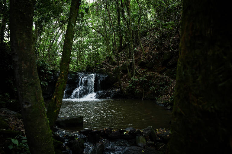 A cachoeira do Monjolo fica em Área de Proteção de Manancial em Juquitiba