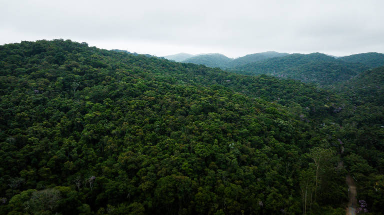 Região entre São Lourenço da Serra e Juquitiba, na Região Metropolitana de São Paulo, está sobre maior mancha contínua de Mata Atlântica do país