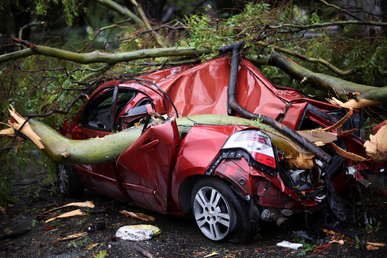 Carro fica destruído ao ser atingido por árvore que caiu em Buenos Aires, na Argentina