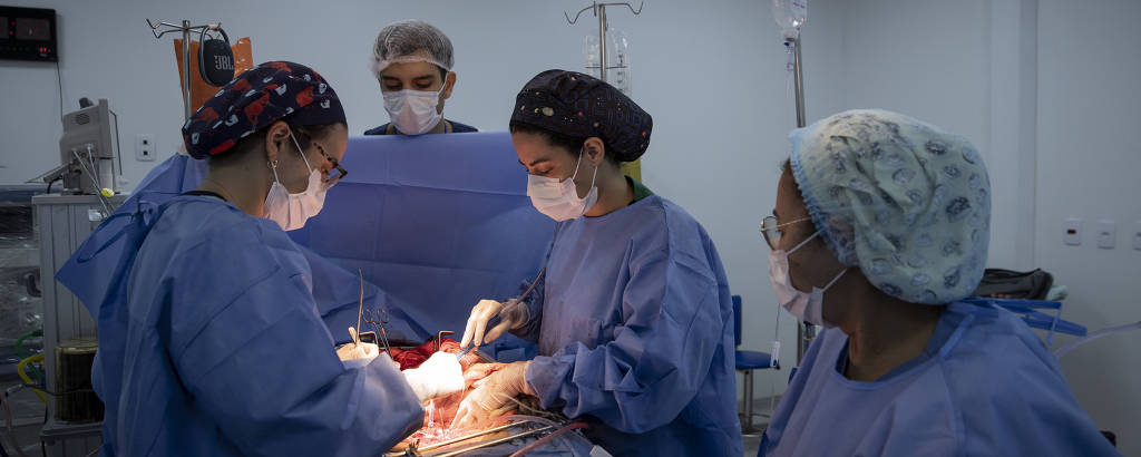 Na imagem, duas médicas cirurgiãs fazem cirurgia em doador de órgãos. Ao fundo, um anestesista acompanha a cena. Ao lado, enfermeira ajuda com os instrumentos