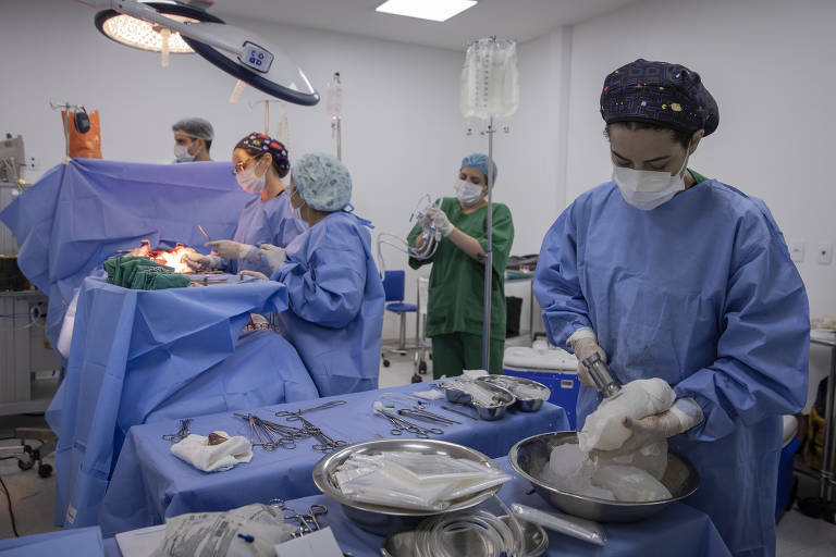 Equipe médica no centro cirúrgico do hospital Adão Pereira Nunes, durante cirurgia de captação de órgãos, no Rio de Janeiro