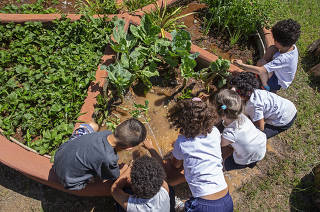 Criancas sem contato com natureza em SP:  Alunos da escola Emei  Borba Gato (em Santo Amaro) brincam na horta do  espaco agrofloresta  -na area da escola-  que proporciona  contato das criancas com a natureza