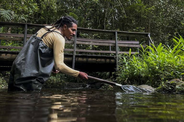Homem negro com macacão e rede coleta peixes em um riacho limpo.