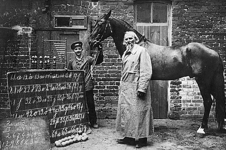 A triste história de Kluge Hans, o cavalo que calculava