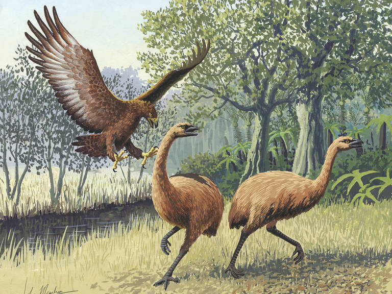 Ilustração mostra uma águia de Haast atacando duas moas, aves não voadoras da Nova Zelândia que podem ter alcançado mais de 200 kg de peso; as duas espécies foram extintas
