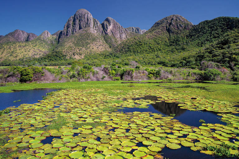 Veja imagens de 'Pantanal - Origens de uma Paraíso'