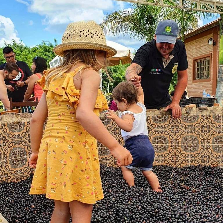 Crianças participam da pisa das uvas no Vale do Vinho, em Cunha (SP)