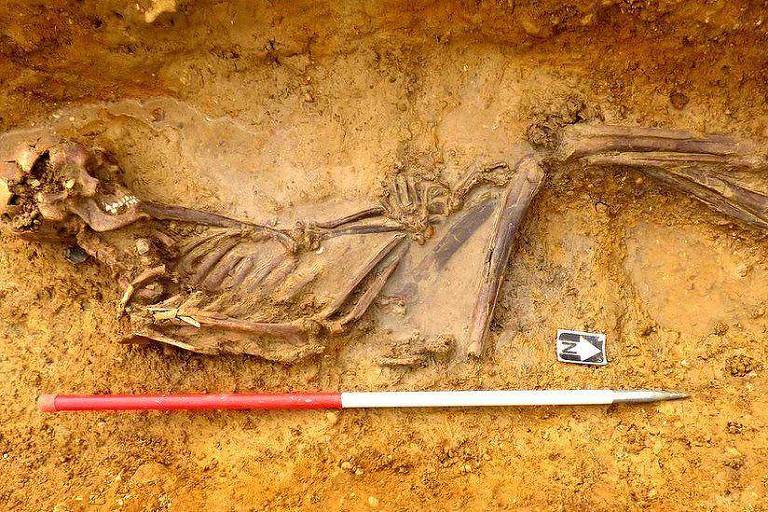 O mistério de ossos de 2.000 anos solucionado por detetives de DNA