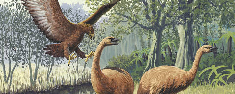 Ilustração mostra uma águia de Haast atacando duas moas, aves não voadoras da Nova Zelândia que podem ter alcançado mais de 200 kg de peso; as duas espécies foram extintas