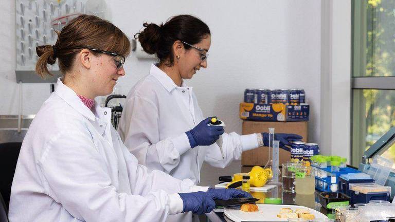 Cientistas trabalham no laboratório da Oobli, que produz proteínas doces usando fermento e açúcar