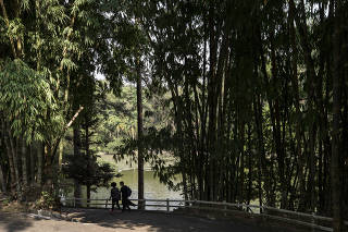 Gestoes dos Parques Horto Florestal e Cantareira foram concedidos a empresa Construcap:  Usuarios utilizam  parque Horto Florestal (Parque Estadual Alberto Lofgren)