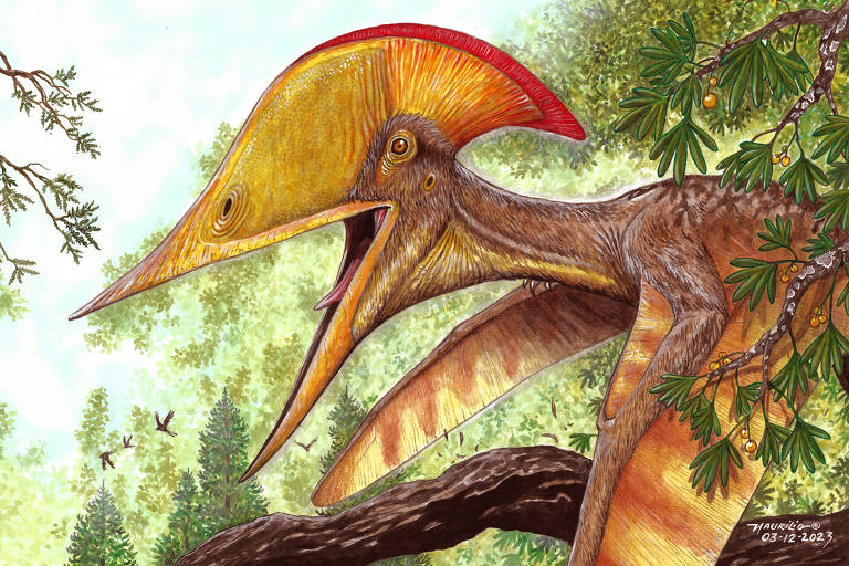 Imagem mostra um pterossauro, réptil voador, com uma grande crista e bico aberto
