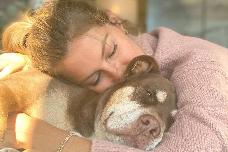 Gisele Bündchen e Tom Brady lamentam morte da cachorra da família: 'Anjo da guarda'