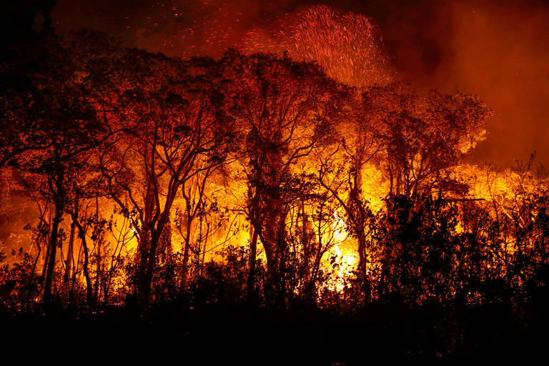 2023 foi um ano devastador de incêndios florestais