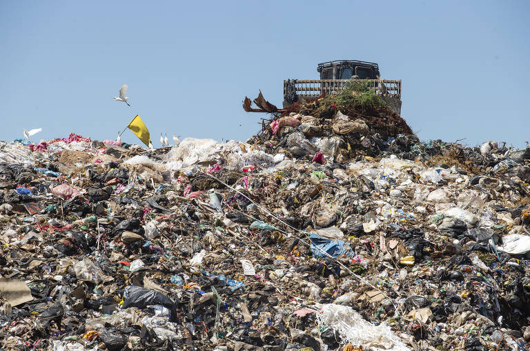 Vídeo: Depósitos ilegais de lixo entram na mira da inteligência artificial