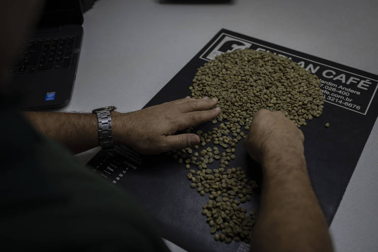Mudanças climáticas ameaçam produção global de café