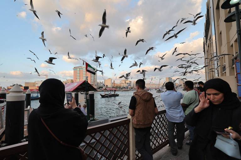 Bairro de Deira, em Dubai, em janeiro de 2024. Céu está ensolarado e repleto de aves marinhas