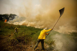 Fires in Brazil's Pantanal wetland