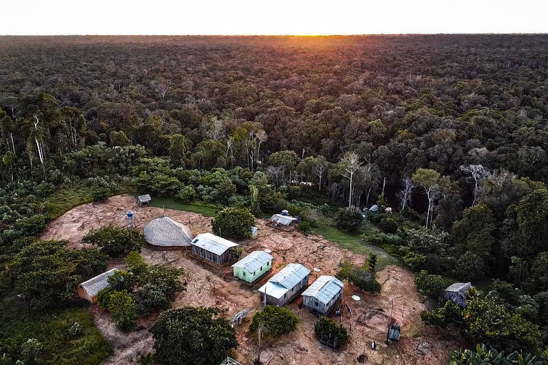 Vista de drone de casas no meio da floresta