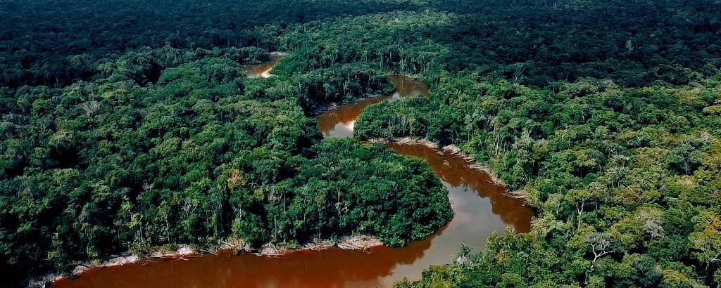 Vista de drone de floresta e rio
