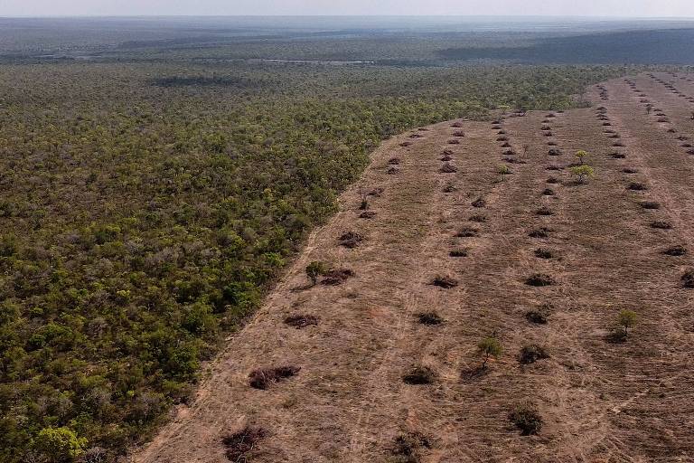 Desmate liderou as emissões brutas brasileiras de gases de efeito estufa em 2022, representando 48% do total, segundo o Seeg (Sistema de Estimativas de Emissões de Gases de Efeito Estufa); na foto, vista do cerrado em São Desidério (BA)