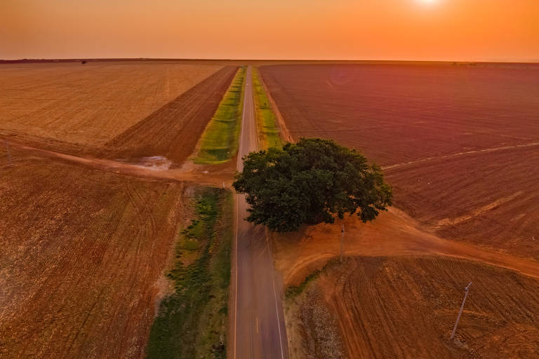 Cerrado é o segundo maior bioma brasileiro e corresponde a quase um quarto de todo o território nacional (23,3%); foto de colheita de algodão na Chapada dos Guimarães, no Mato Grosso