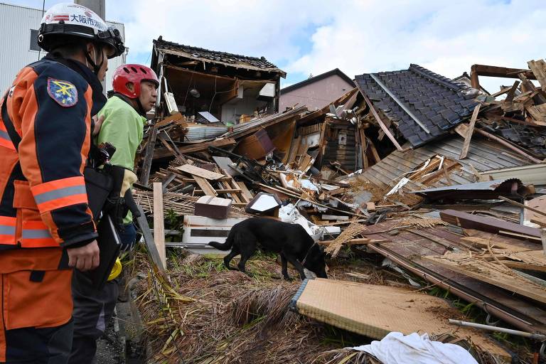 Cadela ajuda socorristas a encontrar sobreviventes de terremoto no Japão