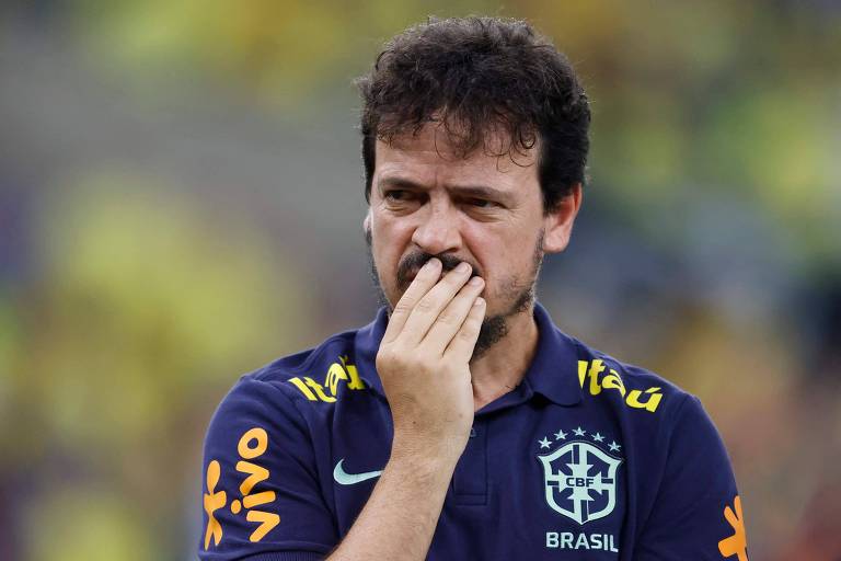Fernando Diniz é demitido da seleção brasileira
