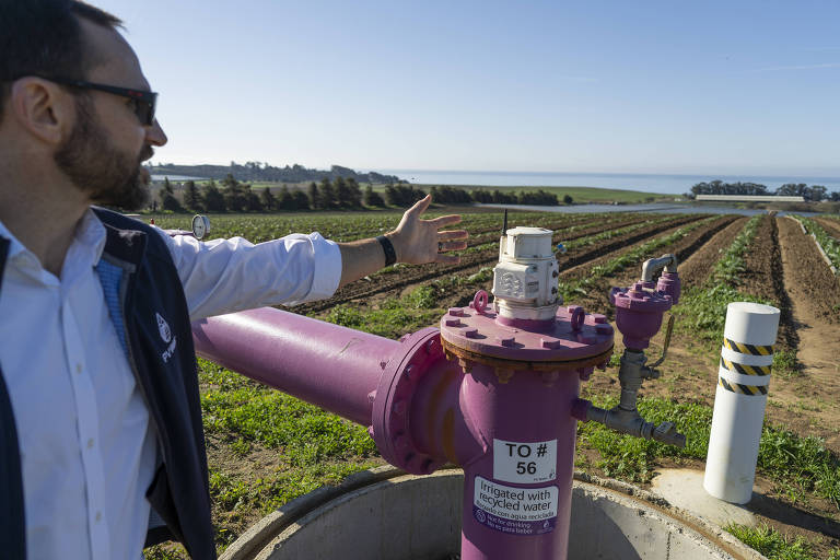 Califórnia cobra imposto sobre água no campo, faz agricultura prosperar e reacende debate