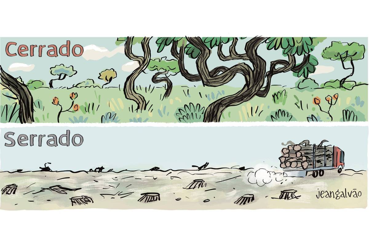 A charge de Jean Galvão publicada na Folha tem dois quadros, um acima do outro. No primeiro quadro está escrito: Cerrado, onde aparece este bioma cheio de verde e árvores típicas. No segundo quadro está escrito: Serrado, revelando uma cena desmatada. Ao longe, um caminhão carrega troncos de árvores cortadas.