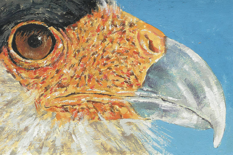 pintura de cara de gavião em close com olhos marrons e bico prateado