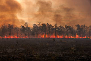 FILE PHOTO: Flames and smoke rise from a line of trees as a wildfire burns at the Dadia National Park in the region of Evros