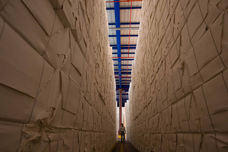 Celulose; estocagem de celulose na cidade de Três Lagoas, interior do Mato Grosso do Sul