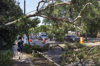 Chuvas em Sao Paulo, rescaldo: Arvores do parque do Ibirapuera caidas sobre fiacao na av Republica do Libano