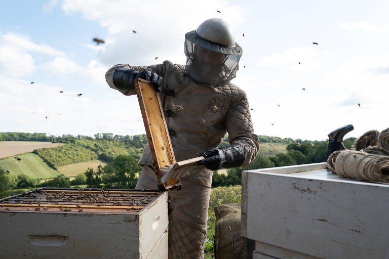 Veja cenas do filme 'Beekeeper - Rede de Vingança', com Jason Statham
