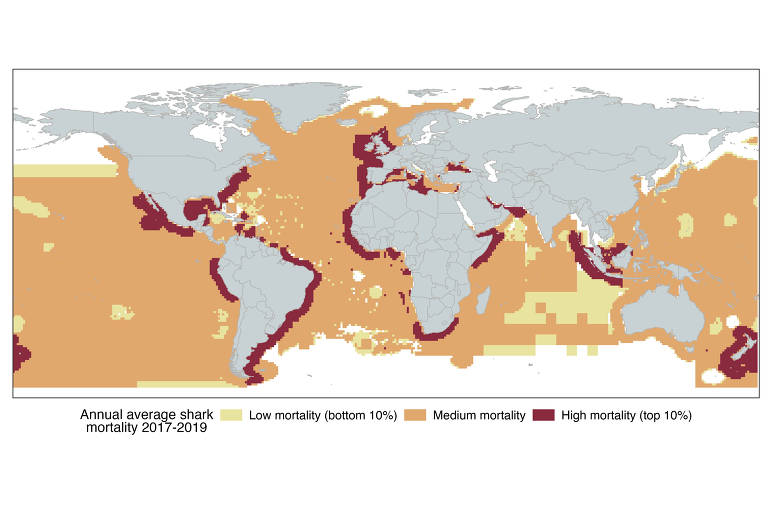 Mapa mostrando as áreas de maior mortalidade de tubarões no mundo, de 2012 a 2019.