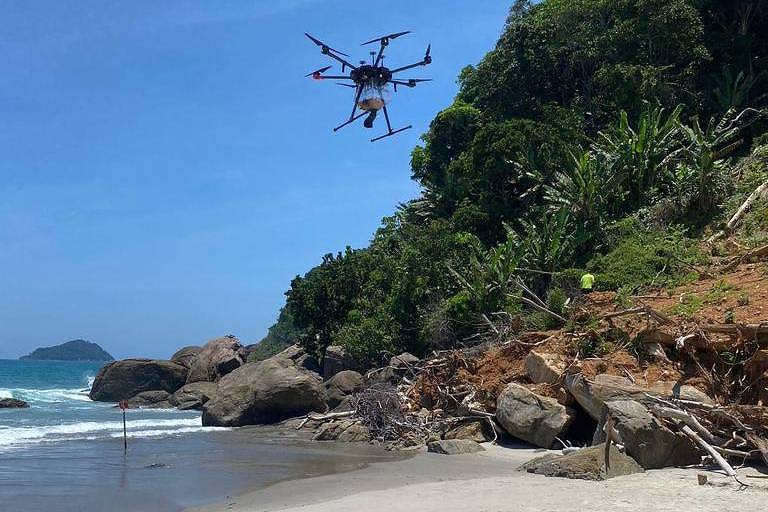 Drones com sementes de árvore vão recuperar áreas de deslizamento de terra em São Sebastião