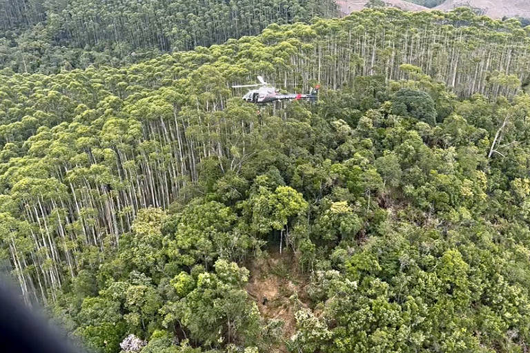 Helicóptero que caiu em viagem para Ilhabela bateu em vegetação durante o voo, diz Cenipa