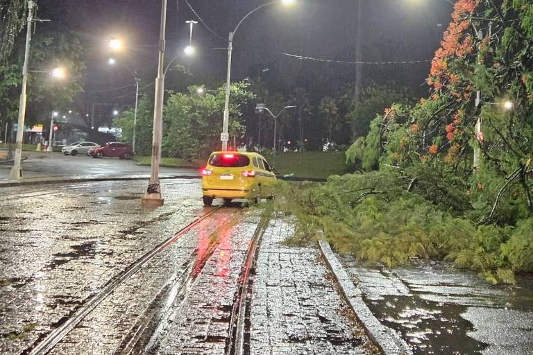 Imagem mostra árvore caída no bairro do Flamengo, no Rio de Janeiro