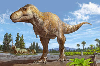 An artist's reconstruction of the newly identified dinosaur species Tyrannosaurus mcraeensis, based on a partial skull fossil collected in New Mexico