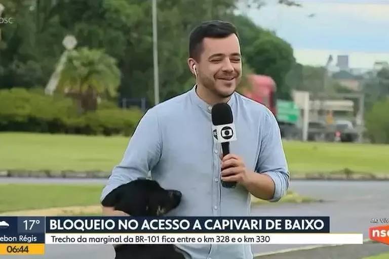 Repórter de afiliada na Globo faz carinho em cão durante entrada ao vivo